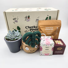 Load image into Gallery viewer, Thank You - Succulent Hamper / Succulent Gift Box
