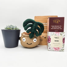 Load image into Gallery viewer, Thank You - Succulent Hamper / Succulent Gift Box - Sydney Only
