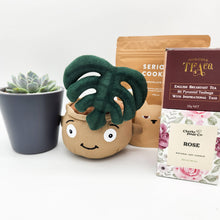 Load image into Gallery viewer, Thank You - Succulent Hamper / Succulent Gift Box - Sydney Only
