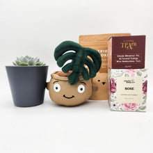 Load image into Gallery viewer, Thank You - Succulent Hamper / Succulent Gift Box - Sydney Only
