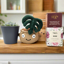 Load image into Gallery viewer, Thank You - Succulent Hamper / Succulent Gift Box - Sydney Only
