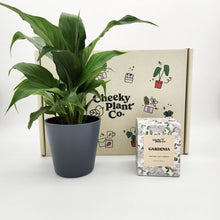Load image into Gallery viewer, Peace Lily &amp; Candle Gift Box
