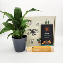 Load image into Gallery viewer, Peace Lily Condolence Gift Box
