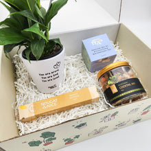 Load image into Gallery viewer, Peace Lily Sympathy Gift Box
