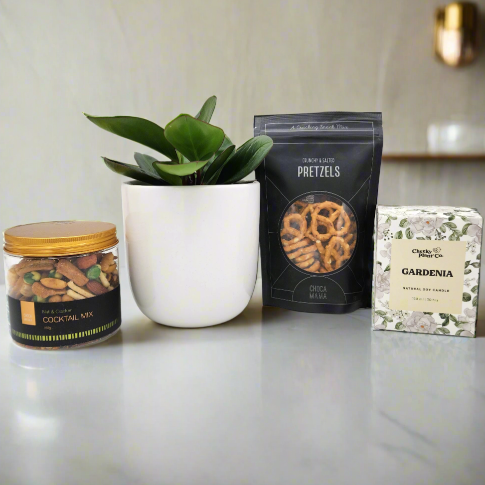 Settlement New Home - Plant Gift Hamper - Sydney Only