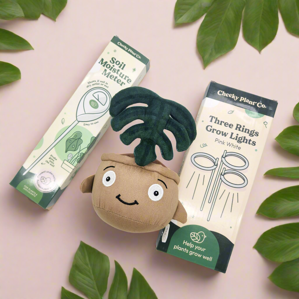 Essential Plant Care Starter Pack