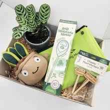 Load image into Gallery viewer, Cheeky Plant Care Starter Gift Box
