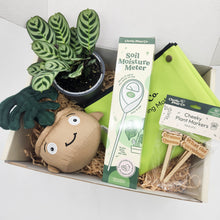Load image into Gallery viewer, Cheeky Plant Care Starter Gift Box
