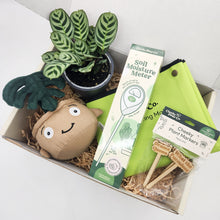 Load image into Gallery viewer, Cheeky Plant Care Starter Gift Box
