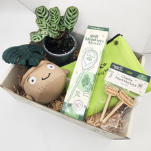 Load image into Gallery viewer, Cheeky Plant Care Starter Gift Box
