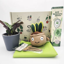 Load image into Gallery viewer, Cheeky Plant Care Starter Gift Box
