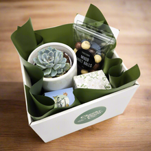 Load image into Gallery viewer, Wedding / Engagement - Succulent Gift Hamper - Sydney Only
