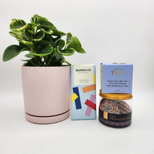 Load image into Gallery viewer, Pawesome Dog Friendly Plant Gift Hamper - Sydney Only
