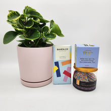 Load image into Gallery viewer, Pawesome Dog Friendly Plant Gift Hamper - Sydney Only
