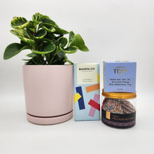 Load image into Gallery viewer, Pawesome Dog Friendly Plant Gift Hamper - Sydney Only
