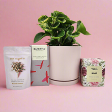 Load image into Gallery viewer, I Love You Plant Gift Hamper - Sydney Only
