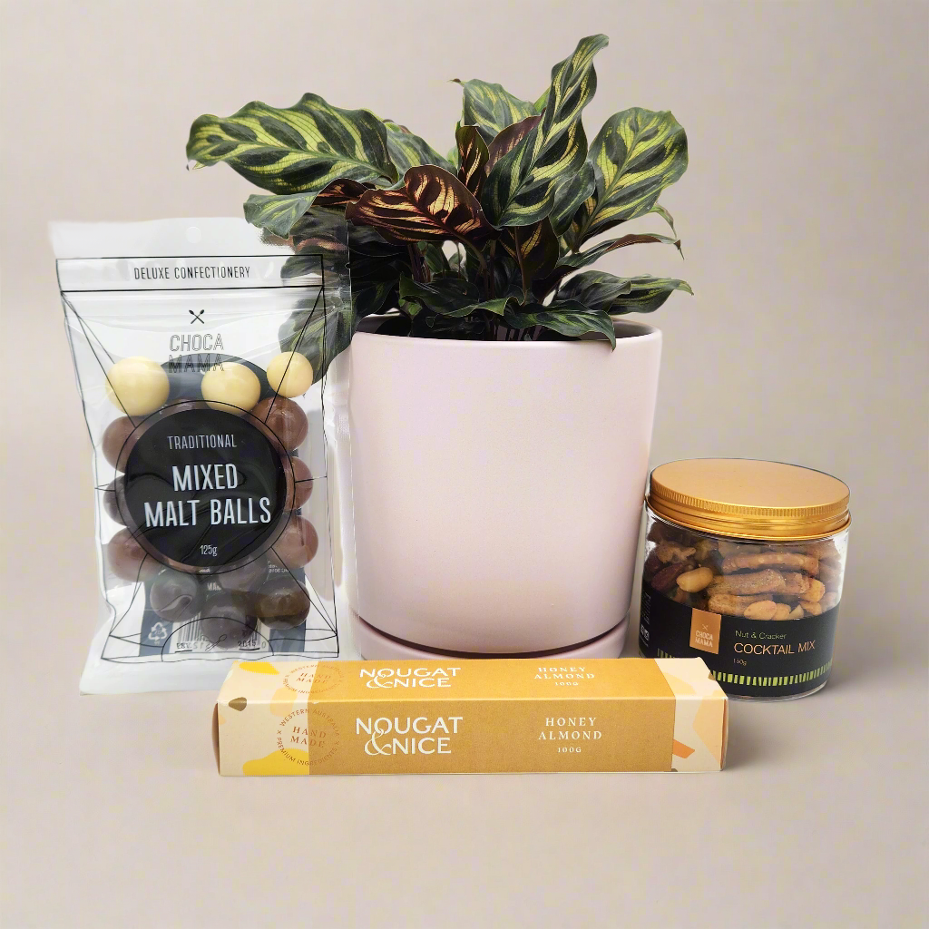 Happiest Birthday Plant Gift Hamper - Sydney Only