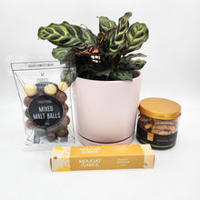 Load image into Gallery viewer, Happiest Birthday Plant Gift Hamper - Sydney Only
