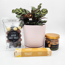 Load image into Gallery viewer, Happiest Birthday Plant Gift Hamper - Sydney Only
