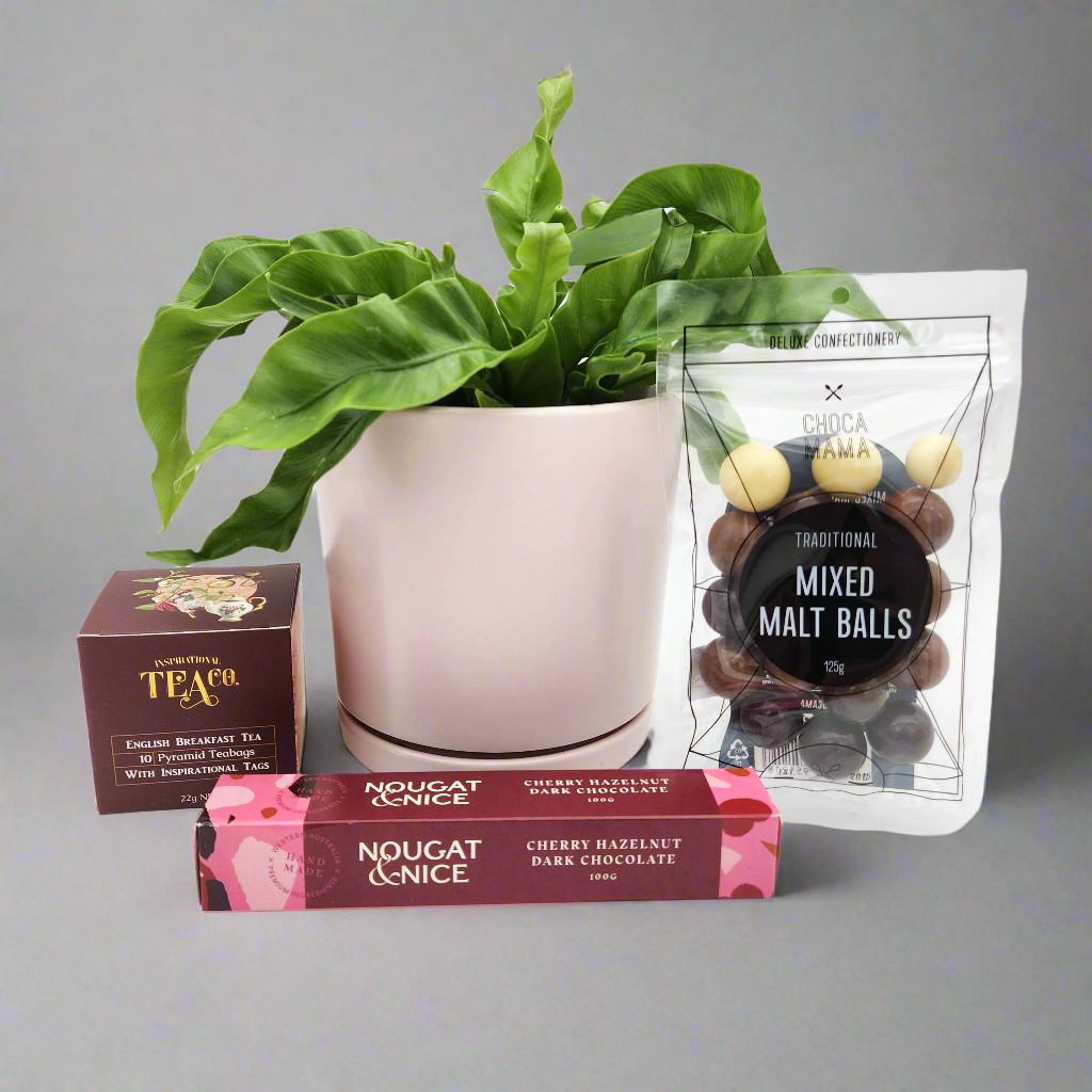 Sincere Sympathy Plant Gift Hamper - Sydney Only