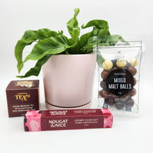 Load image into Gallery viewer, Sincere Sympathy Plant Gift Hamper - Sydney Only
