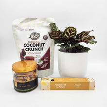 Load image into Gallery viewer, Pawfect Dog Friendly Plant Gift Hamper - Sydney Only
