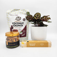 Load image into Gallery viewer, Pawfect Dog Friendly Plant Gift Hamper - Sydney Only
