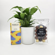 Load image into Gallery viewer, Peace Lily Sorry Gift Hamper - Sydney Only
