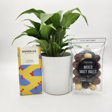 Load image into Gallery viewer, Peace Lily Sorry Gift Hamper - Sydney Only
