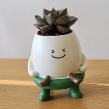 Load image into Gallery viewer, Smiley Cute Face Pot
