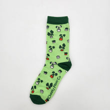 Load image into Gallery viewer, Plant Lover Socks - Plant Pattern - Cheeky Plant Co.
