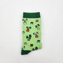 Load image into Gallery viewer, Plant Lover Socks - Plant Pattern - Cheeky Plant Co.
