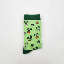 Load image into Gallery viewer, Plant Lover Socks - Plant Pattern - Cheeky Plant Co.
