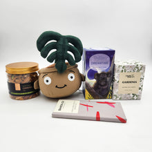 Load image into Gallery viewer, Self Care Plushie Gift Box
