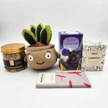 Load image into Gallery viewer, Self Care Plushie Gift Box
