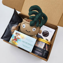 Load image into Gallery viewer, Treat Yourself Plushie Gift Box
