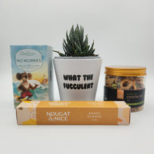 Load image into Gallery viewer, Cheeky WTF Vibes Succulent Gift Box - Sydney Only
