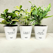 Load image into Gallery viewer, Trio Assorted Indoor Plants in Positive Pots (11cmDx11cmH) - Sydney Only
