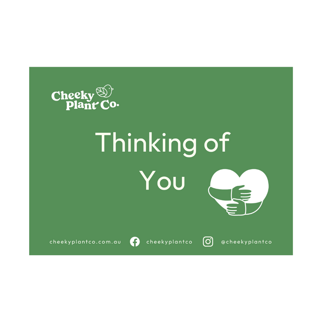 Greeting Cards - Green