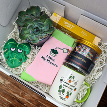 Load image into Gallery viewer, Planty of Love - Succulent Gift Box
