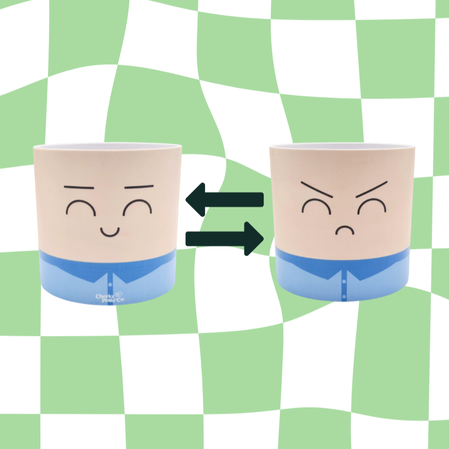 Face Swapping Pot - Moody Boyfriend - Cheeky Plant Co. Pot - 12.5cmD x 12cmH