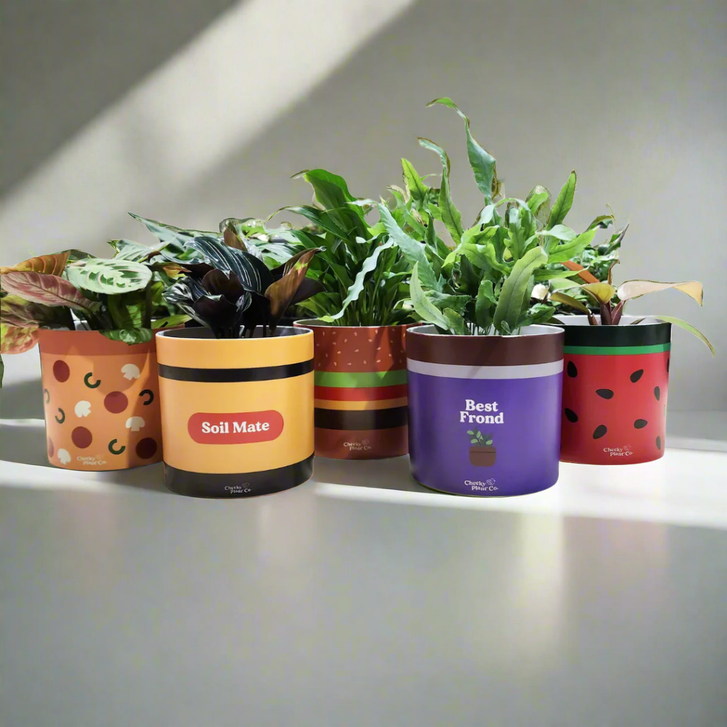 Foodie Pots Five Pack - Cheeky Plant Co. Pots - 12.5cmD x 12cmH