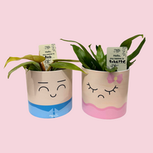 Load image into Gallery viewer, Plant Name Labels - &quot;Hello my name is ___ &quot;
