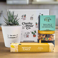 Load image into Gallery viewer, Positive Vibes - Succulent Gift Box
