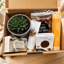 Load image into Gallery viewer, Treat Yourself Succulent Gift Box
