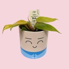 Load image into Gallery viewer, Plant Name Labels - &quot;Hello my name is ___ &quot;
