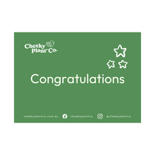 Load image into Gallery viewer, Greeting Cards - Green
