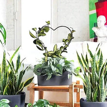 Load image into Gallery viewer, Support Your Plants - Trellis Bundle
