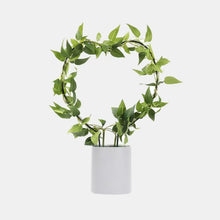 Load image into Gallery viewer, Black Iron Plant Trellis - Heart (24x34cmH)
