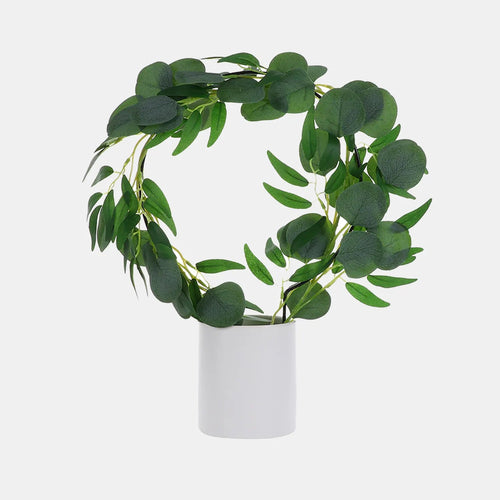 Black Iron Plant Trellis - Ring (22.5x34cmH)